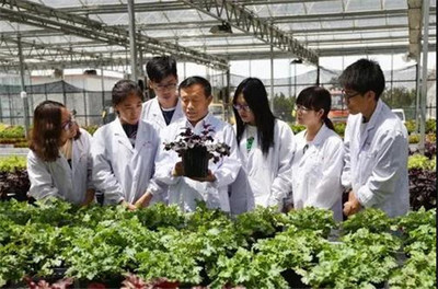 扎根濰坊大地，助力‘三農(nóng)’發(fā)展 濰坊職業(yè)學院的農(nóng)業(yè)技術(shù)研究實踐