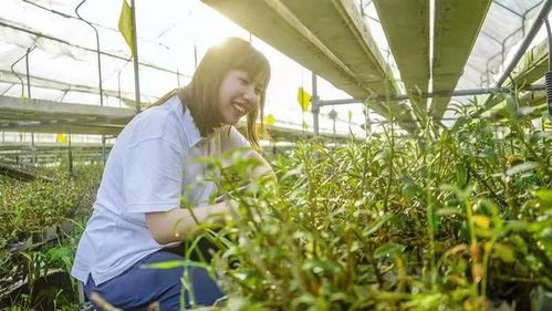 她讓農(nóng)業(yè)變酷了 女海歸的“無土種菜”技術(shù)與農(nóng)業(yè)未來