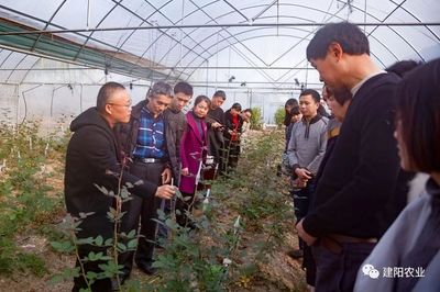 田間地頭的生動課堂 建陽區(qū)農(nóng)技培訓(xùn)“搬進(jìn)”農(nóng)業(yè)企業(yè)，賦能鄉(xiāng)村振興