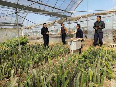 晉熙鎮(zhèn)深化農(nóng)技推廣改革 賦能農(nóng)業(yè)技術(shù)研究 穩(wěn)定發(fā)展農(nóng)業(yè)生產(chǎn)