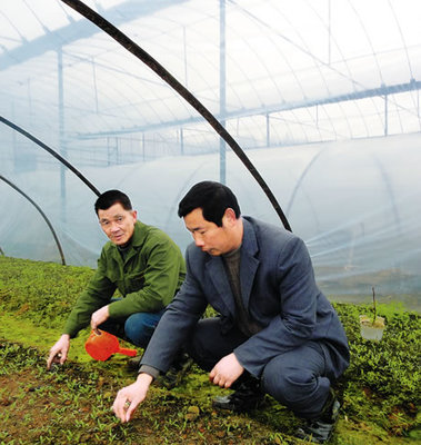 田壟間的堅(jiān)守者 汪田有深耕農(nóng)技十六載，鋪就農(nóng)民致富路