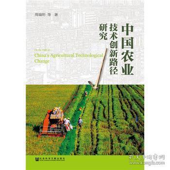 中國農(nóng)業(yè)技術(shù)創(chuàng)新路徑研究 探索現(xiàn)代農(nóng)業(yè)發(fā)展的核心動力