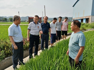 我區(qū)啟動全國五星鄉(xiāng)鎮(zhèn)農(nóng)技推廣機(jī)構(gòu)復(fù)核工作，深化農(nóng)業(yè)技術(shù)研究與應(yīng)用